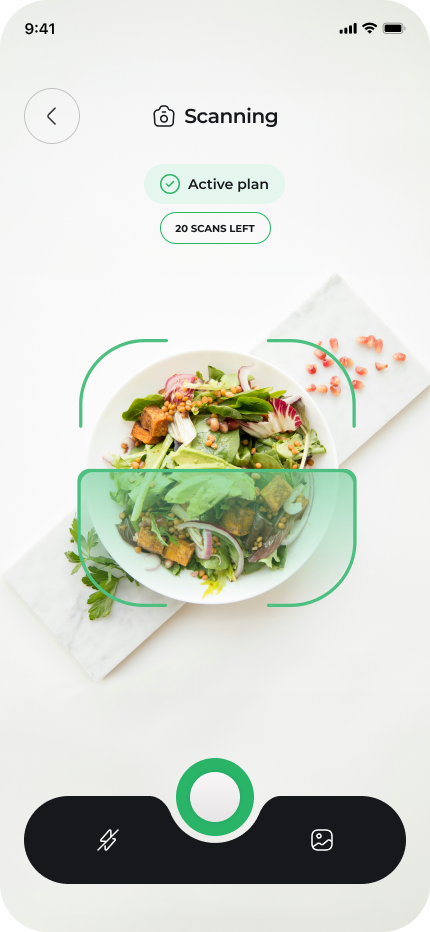 Instacalorie camera framed on a plate of food, ready to scan